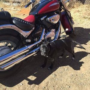 Meet your Posher, Felipe